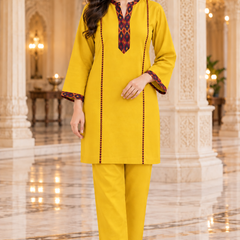 Kashmiri Border Work Winter Kurta Pant Set